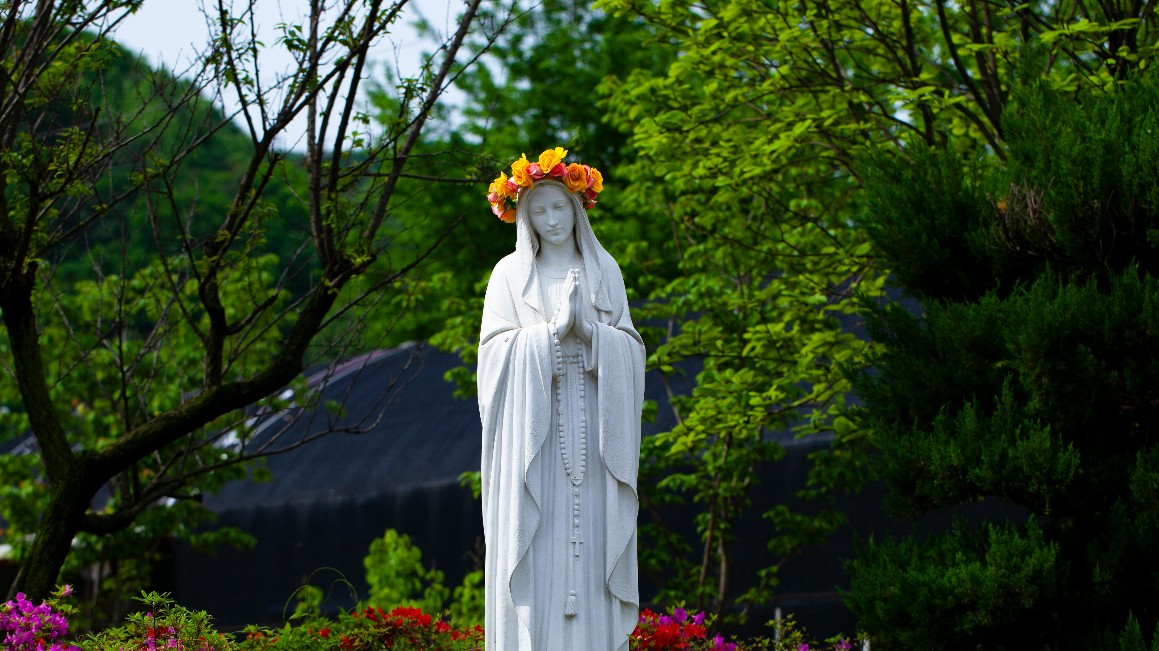 5 Ways to Celebrate the Month of Mary