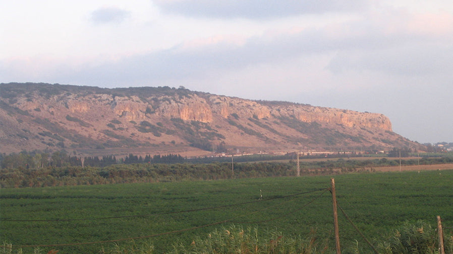 The Biblical Roots of Our Lady and Mount Carmel
