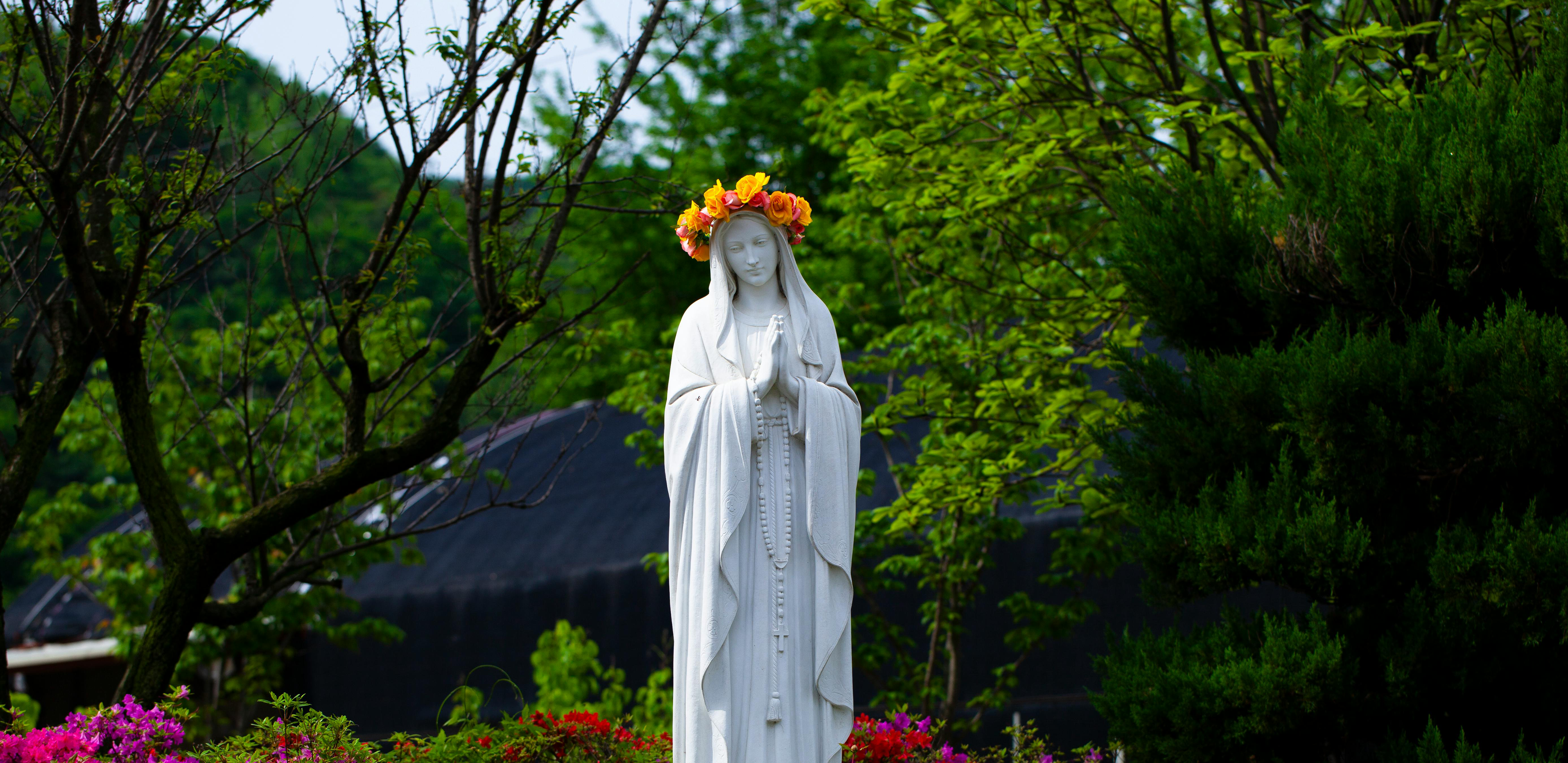 5 Ways to Celebrate the Month of Mary